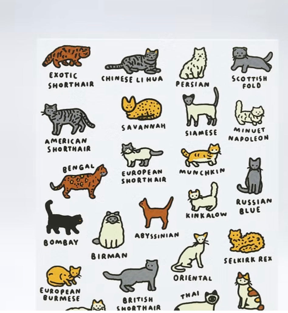 世界圖鑑系列:貓貓絲版印刷明信片