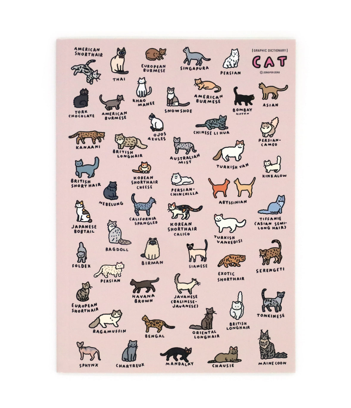 世界圖鑑系列 : 100貓咪A4文件夾