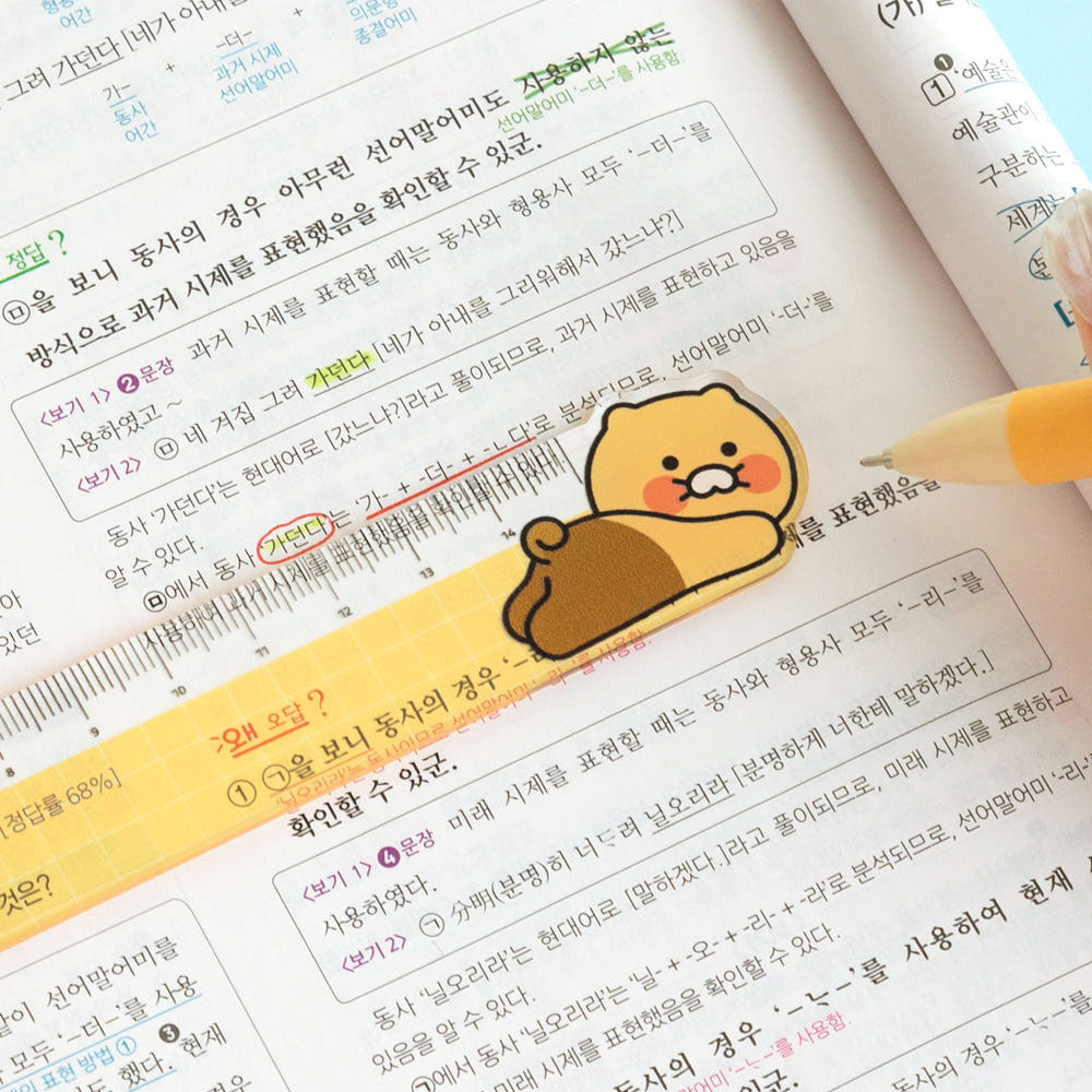 韓國春植15 cm 間尺