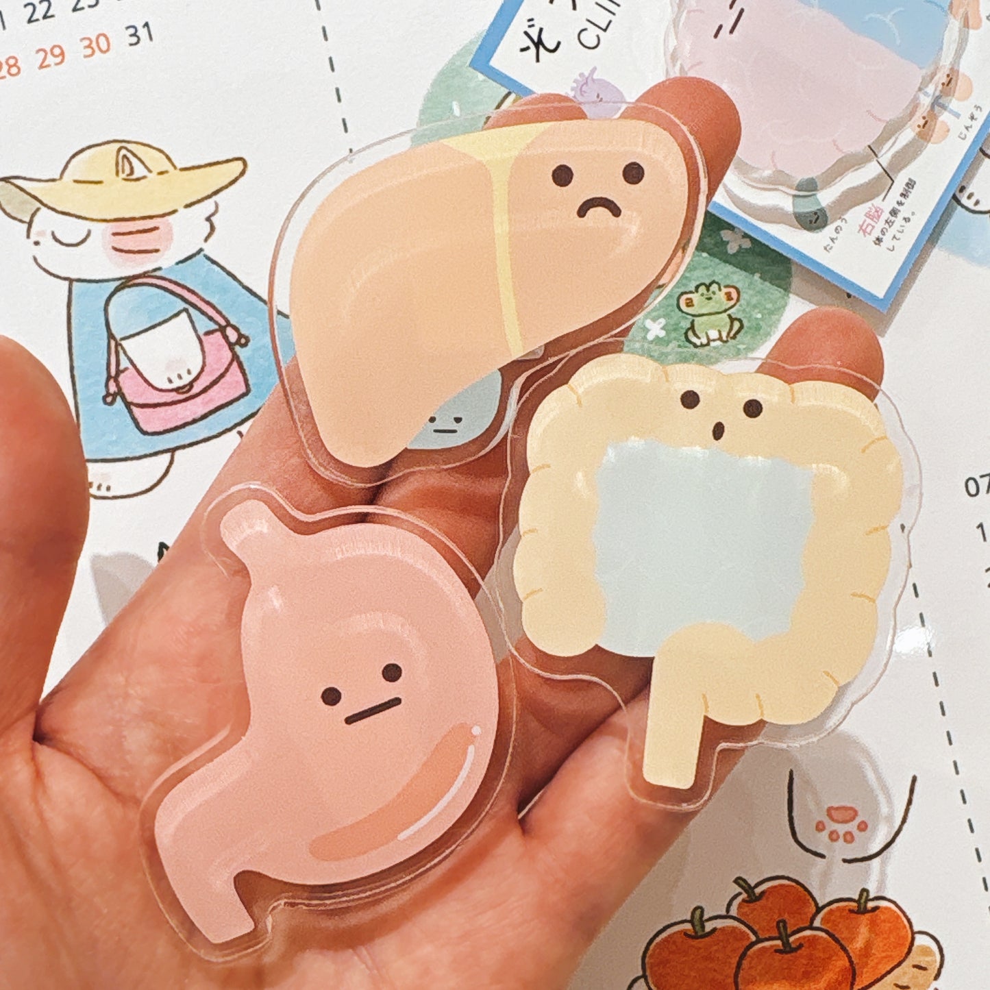 日本かメオ人體的奧妙器官夾子 - 噢!是腸子君