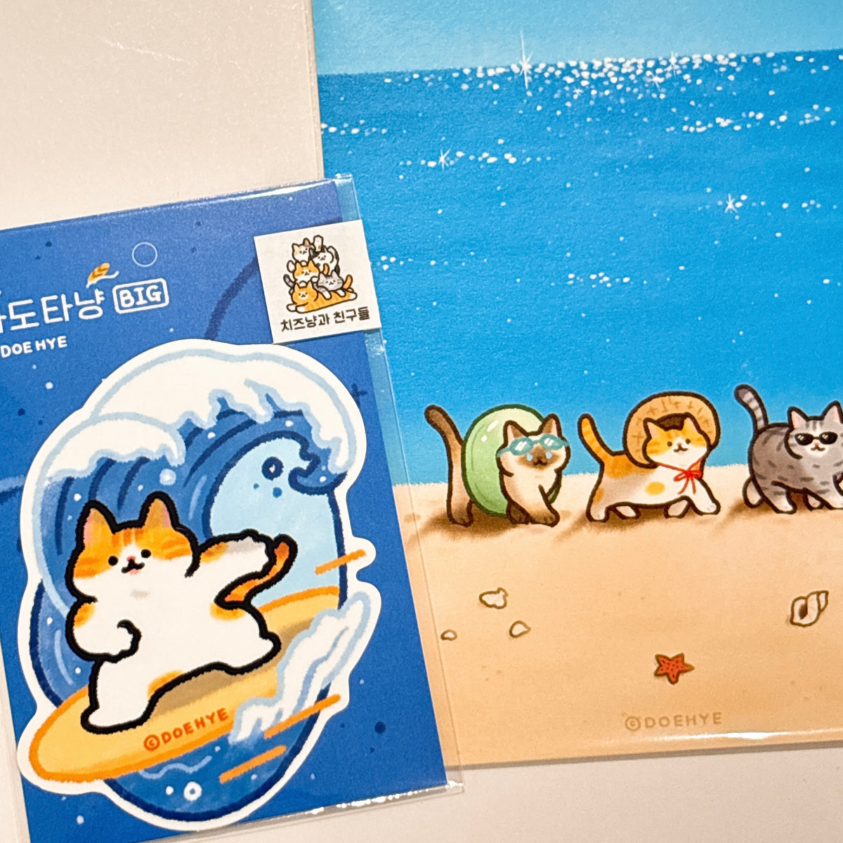 韓國插畫師Doehye大粒貓貼紙 - 衝浪🏄