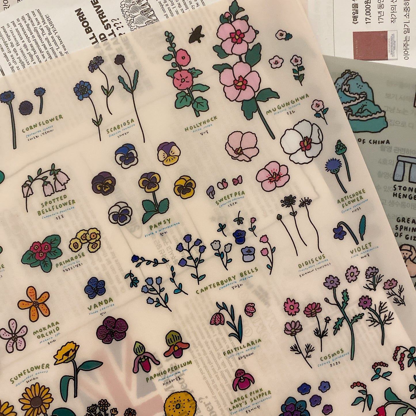 世界圖鑑系列 : 100花卉A4 文件夾