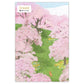 日系插畫 Creald Postcard系列 - 櫻花樹下的貓