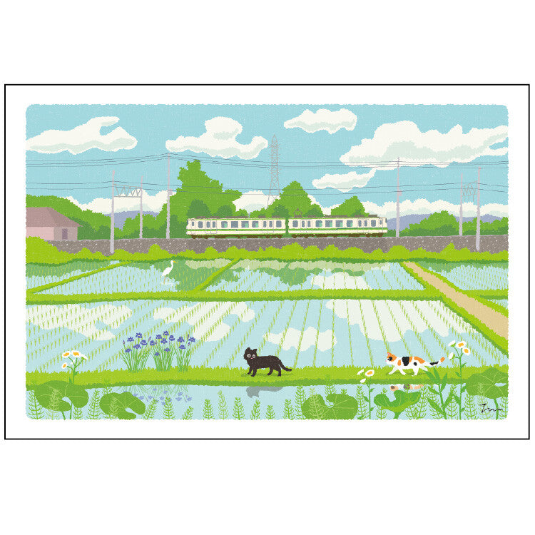 日本Active 明信片黑貓🐈‍⬛宅急便たびねこ系列 - 走過田野
