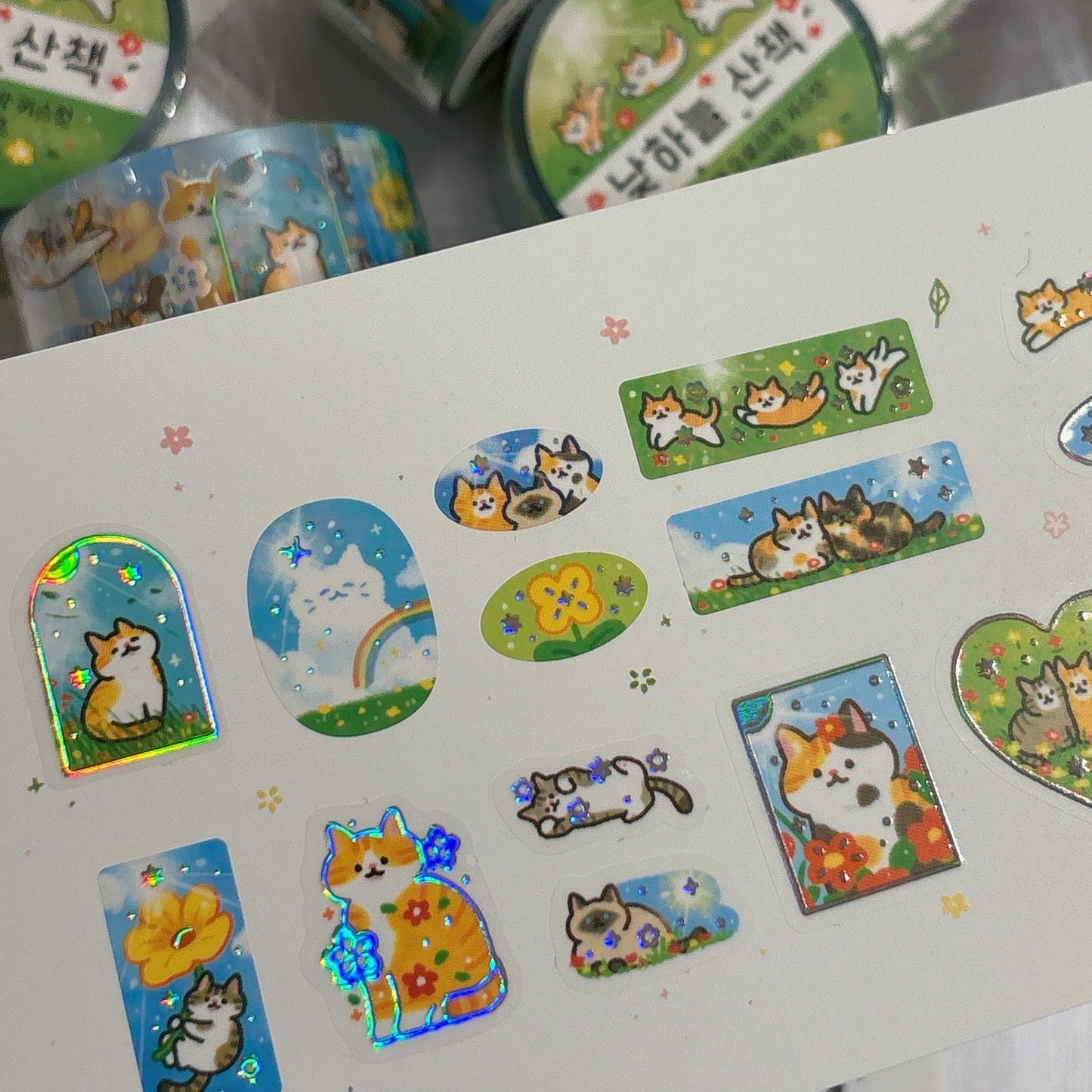 韓國 Doehye Drawing 貓咪四部曲卷裝貼紙: 第二部曲 - 踏踏森林原野