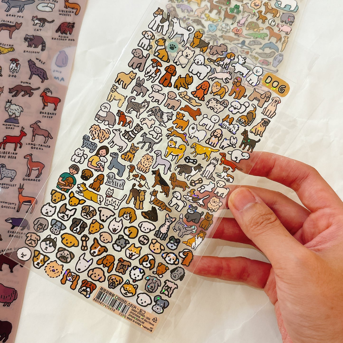 世間萬物圖鑑貼紙合集 -世界上的狗 *