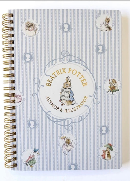 日本Peter Rabbit 彼得兔系列A5 筆記簿 - 藍色條子