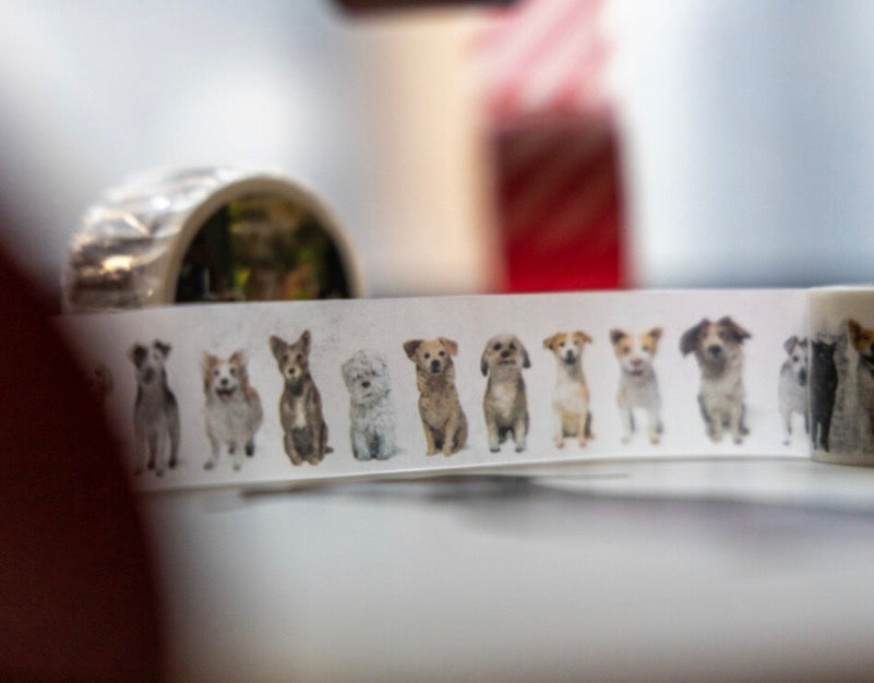 韓國Rolled Paint 很多很多隻狗狗紙膠帶 - 一米 / 整卷