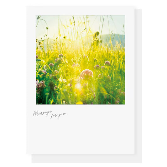 日本Sara Polaroid 空之風景卡片系列 - Sunshine grassland［預購商品］