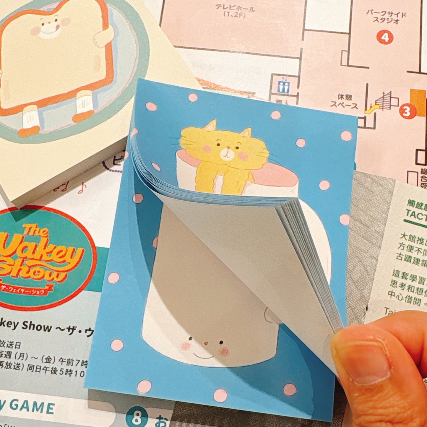 韓國 Tomatoyou 便條磚 - 貓咪的杯子