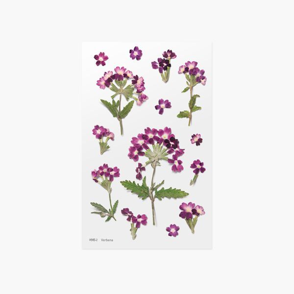 韓國Appree壓花無痕貼紙 - Verbena