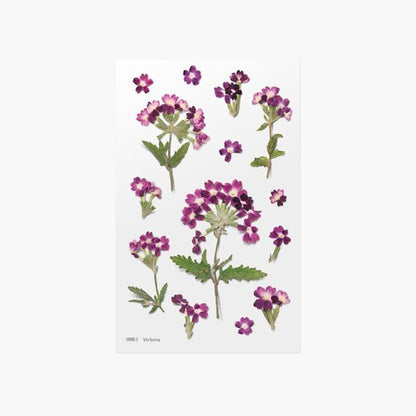 韓國Appree壓花無痕貼紙 - Verbena