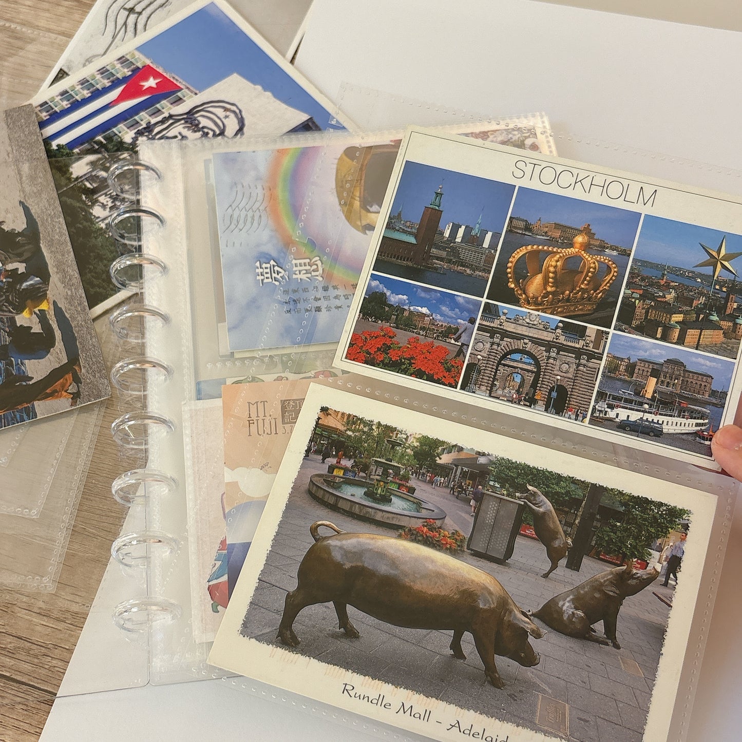 韓國 Ring Album 明信片&賀卡收納手冊* (可加內頁) *