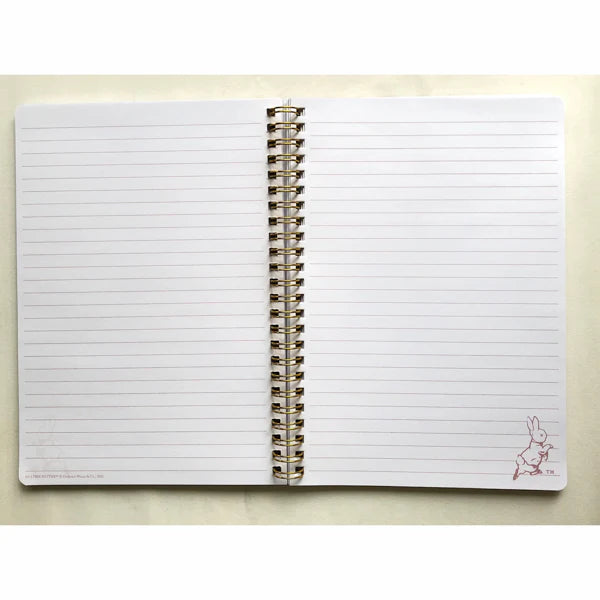 日本Peter Rabbit 彼得兔系列A5 筆記簿 - 藍色條子