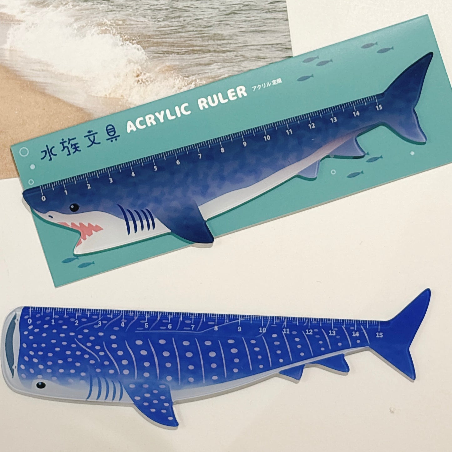 日本 水族館限定 海洋文具  15 cm 間尺