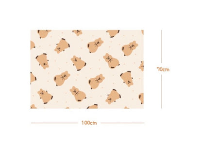 韓國濟州Kiki Quokka 毛絨絨小被子* 抱著樹葉 🍃[預購貨品，下單後14天出貨]