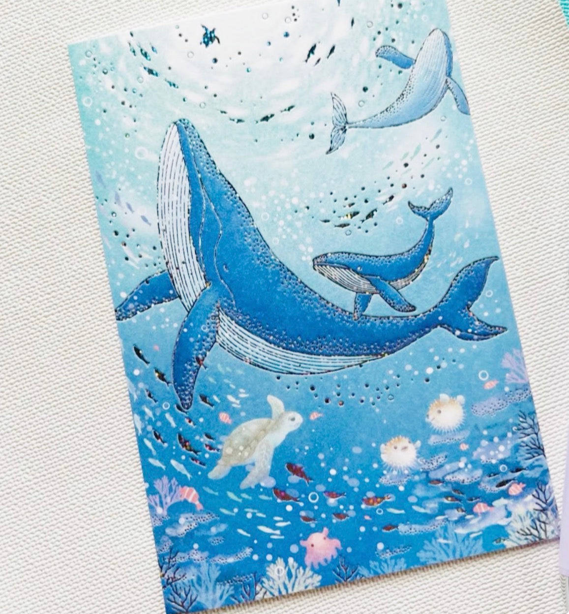日本鯨魚與海洋燙金明信片連個封