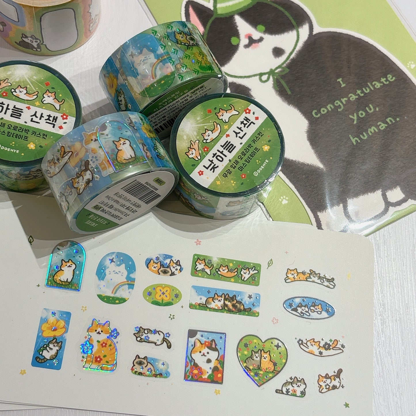 韓國 Doehye Drawing 貓咪四部曲卷裝貼紙: 第二部曲 - 踏踏森林原野