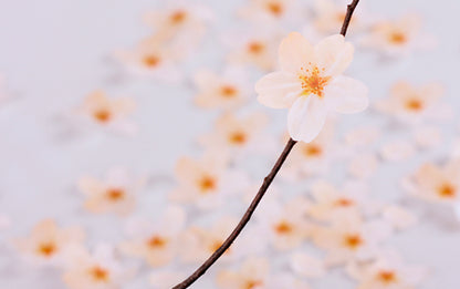 韓國Appree 我們的大自然Sticky Leaf 便條貼Palette (一共4 款） [預購貨品，下單後14天出貨]