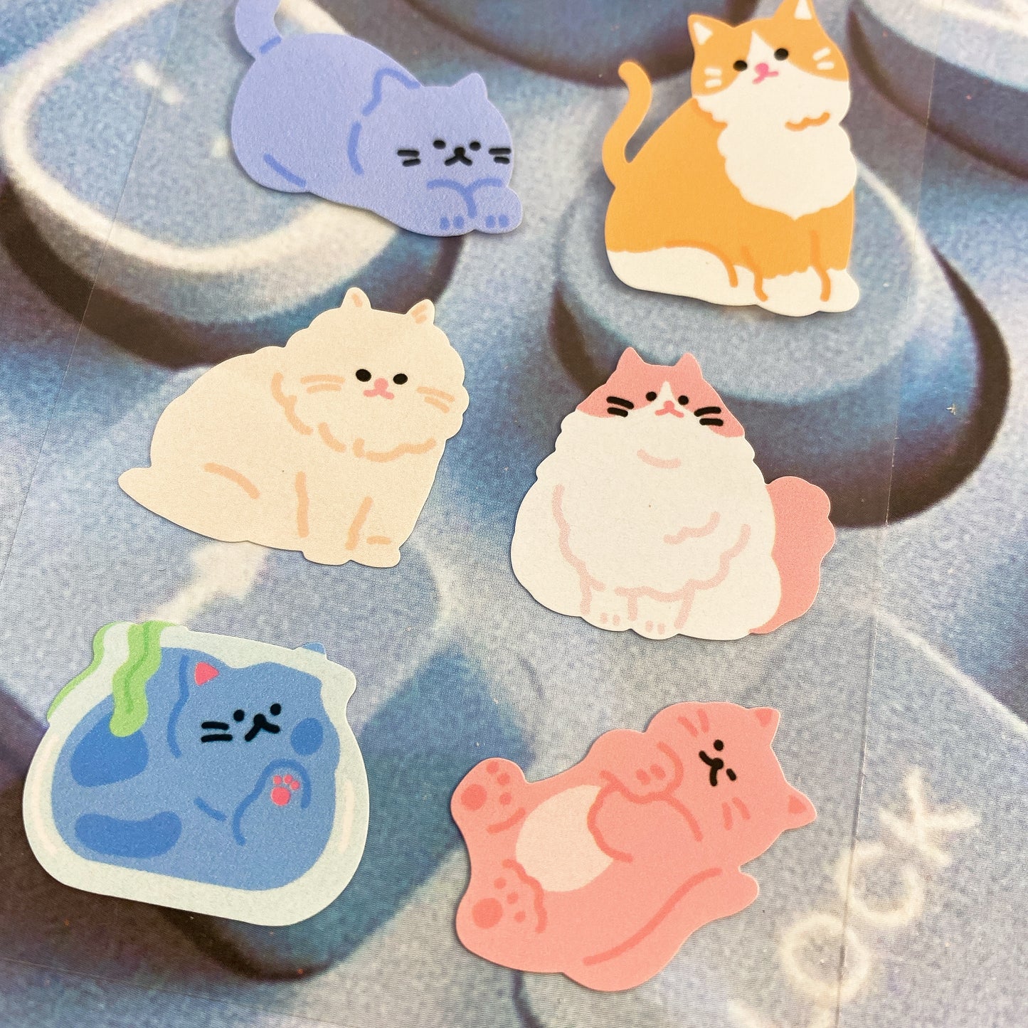 韓國 Pocket Stickers - 貓咪可愛日常