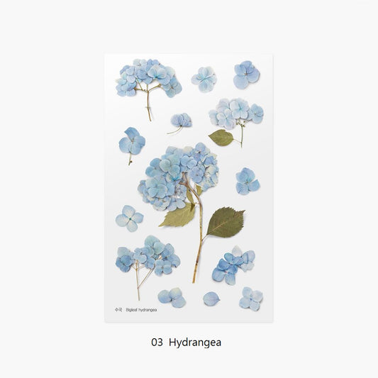 韓國Appree壓花無痕貼紙 - 一共5 款