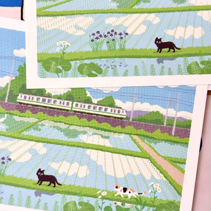 日本Active 明信片黑貓🐈‍⬛宅急便たびねこ系列 - 走過田野
