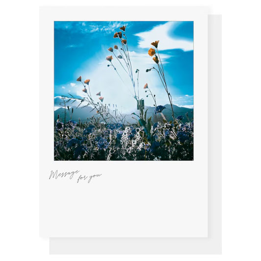 日本Sara Polaroid 空之風景卡片系列 - The Windy Days ［預購商品］