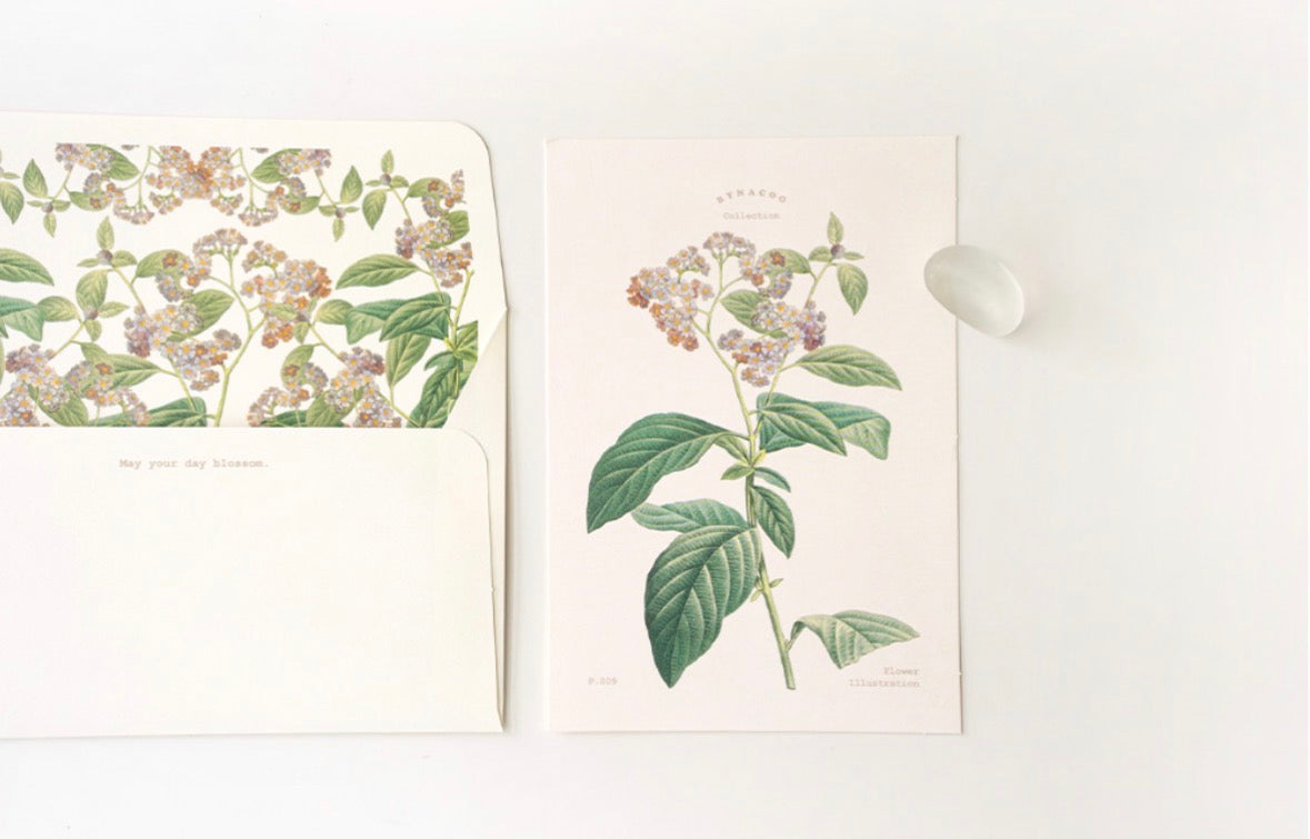 韓國Flower Card Set 系列- May Your Day Blossom(一共6 款）