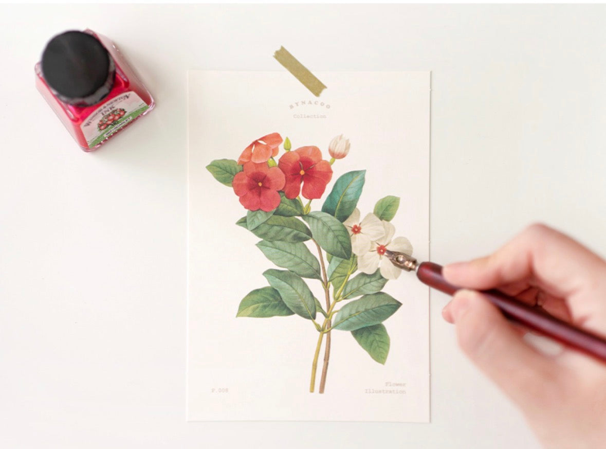 韓國Flower Card Set 系列- May Your Day Blossom(一共6 款）