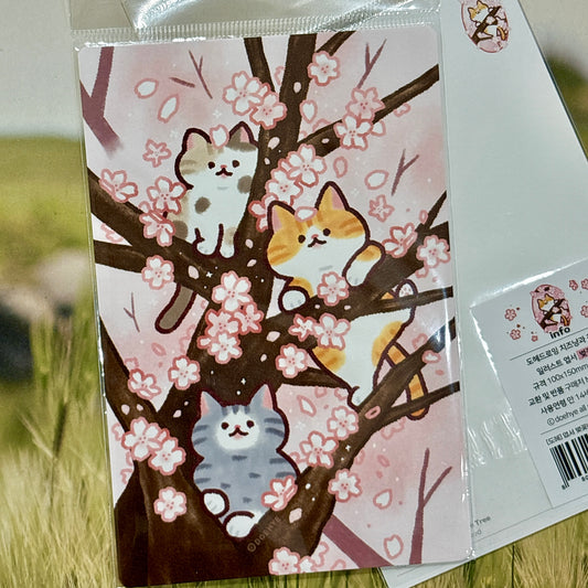 韓國插畫師Doehye 貓咪卡片系列 - 貓咪賞櫻