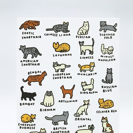 世界圖鑑系列：貓貓絲版印刷明信片