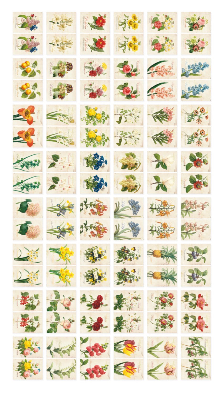 韓國By Nacoo Label Sticker - Flower Garden