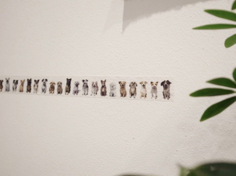 韓國Rolled Paint 很多很多隻狗狗紙膠帶 - 一米 / 整卷