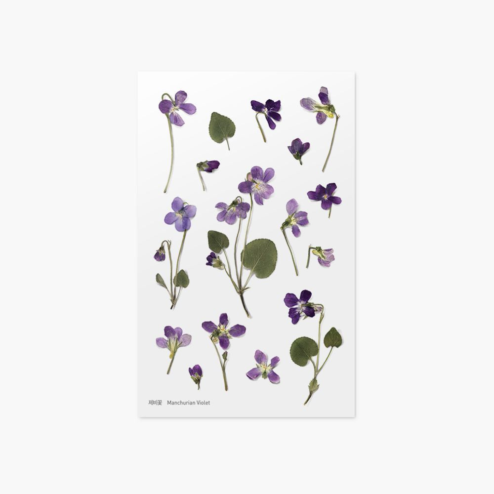 韓國Appree壓花無痕貼紙 - Manchurian Violet