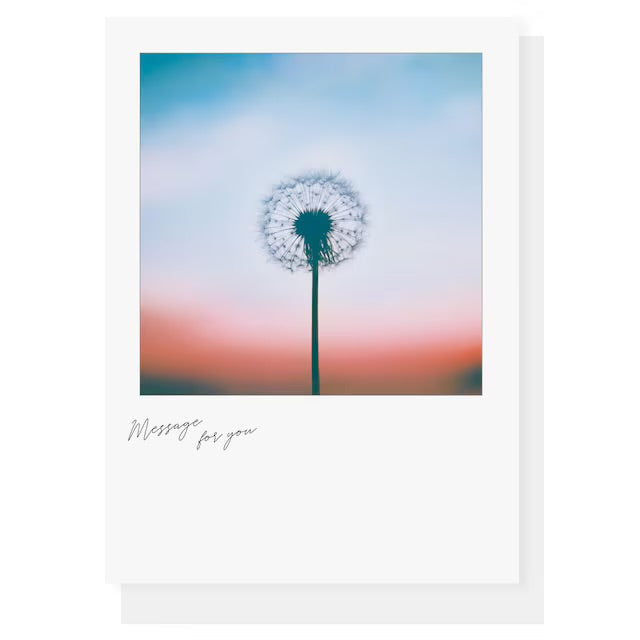 日本Sara Polaroid 空之風景卡片系列 - My Little Wish ［預購商品］