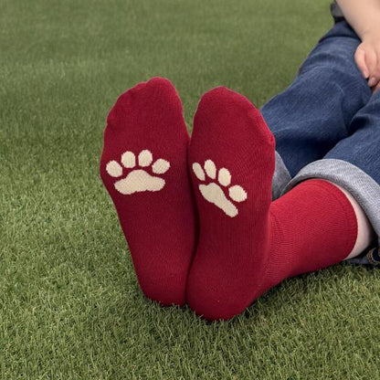 日本Zoo In Animals 可愛動物園襪子 🧦 - 馬努爾貓🐼  [預購貨品］