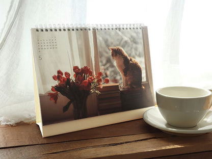 韓國Life in Flow 2026 桌上月曆 [預購貨品，下單後14天出貨]