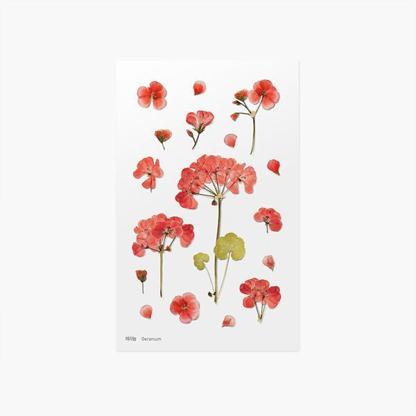 韓國Appree壓花無痕貼紙 - Cherry Flowers