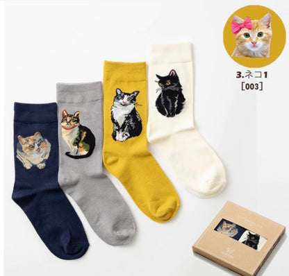 日本Jobily Company 中筒襪4 雙禮盒套裝 - 貓貓2 號 [ 預購貨品］