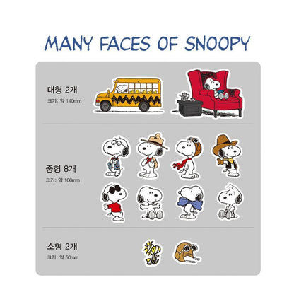 《Snoopy 9 折購物祭‼️》 The Snoopy World 史努比大張貼紙包  [預購貨品，下單後14天出貨]