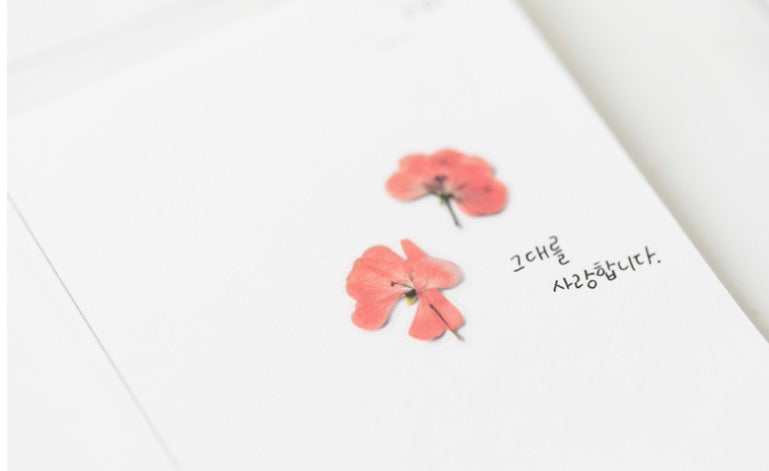 韓國Appree壓花無痕貼紙 - Cherry Flowers