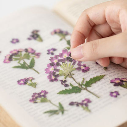 韓國Appree壓花無痕貼紙 - Verbena