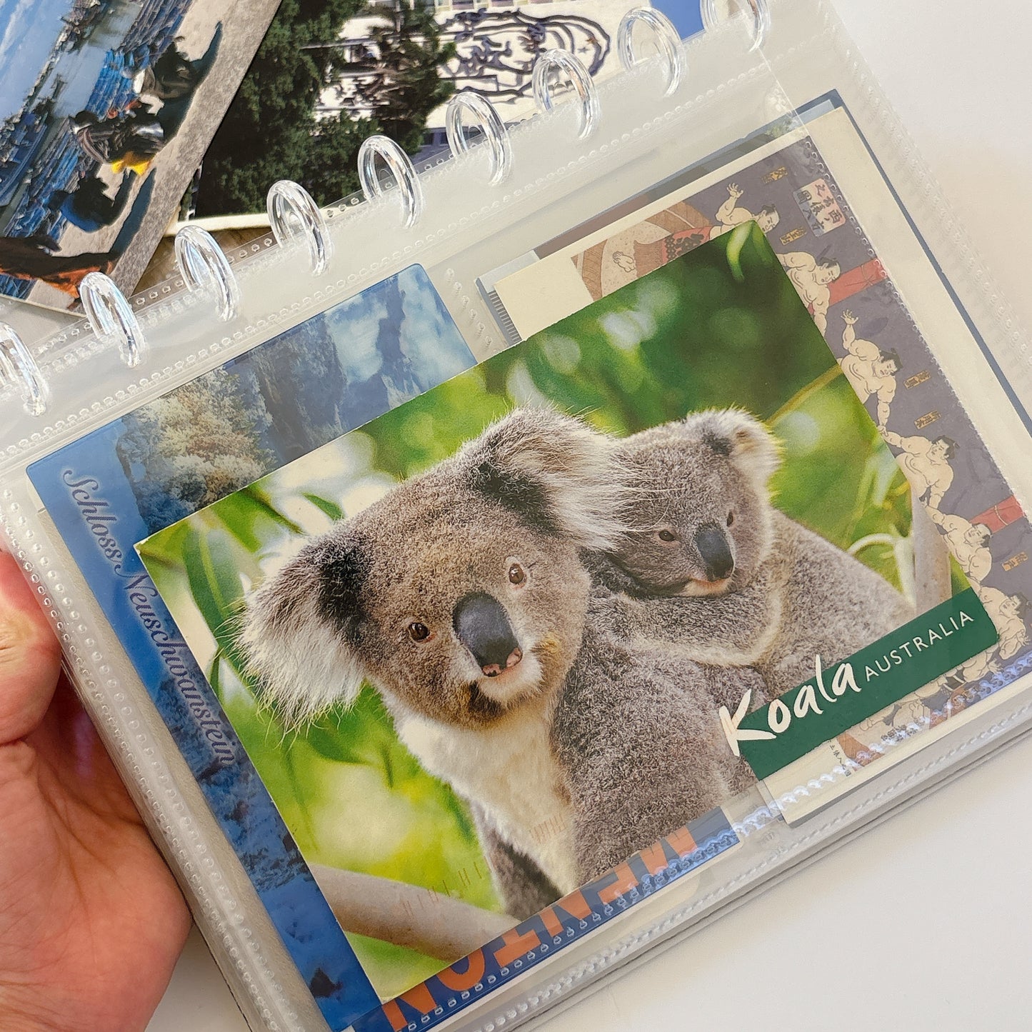 韓國 Ring Album 明信片&賀卡收納手冊* (可加內頁) *