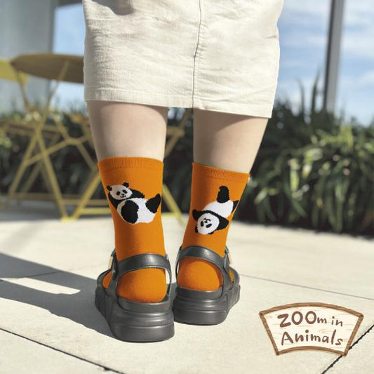 日本Zoo In Animals 可愛動物園襪子 🧦 - 熊貓🐼  [預購貨品］
