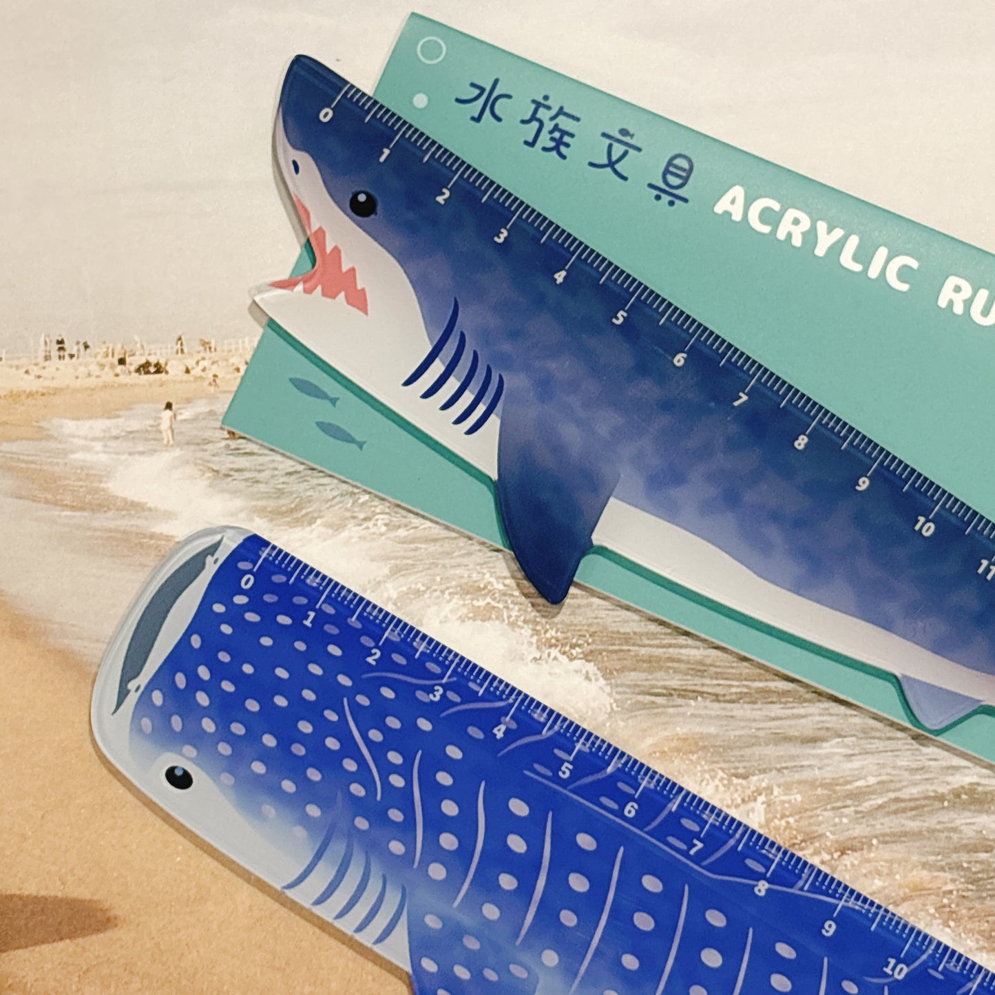 日本 水族館限定 海洋文具  15 cm 間尺