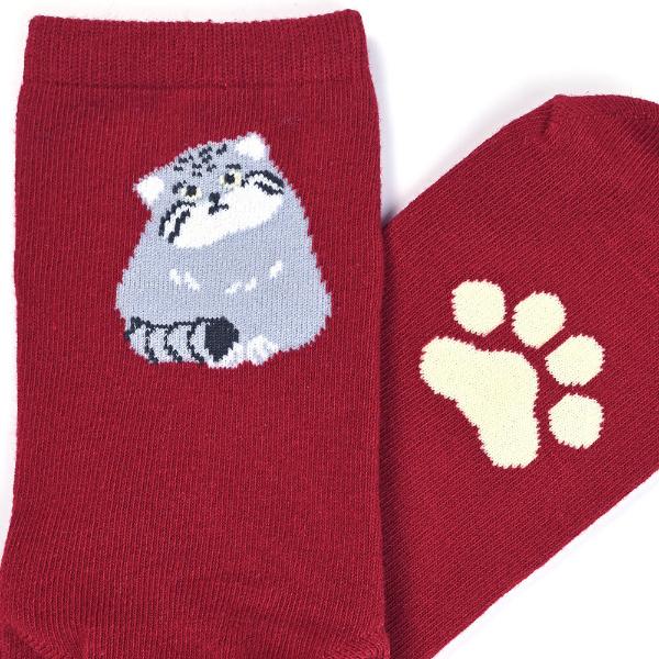 日本Zoo In Animals 可愛動物園襪子 🧦 - 馬努爾貓🐼  [預購貨品］