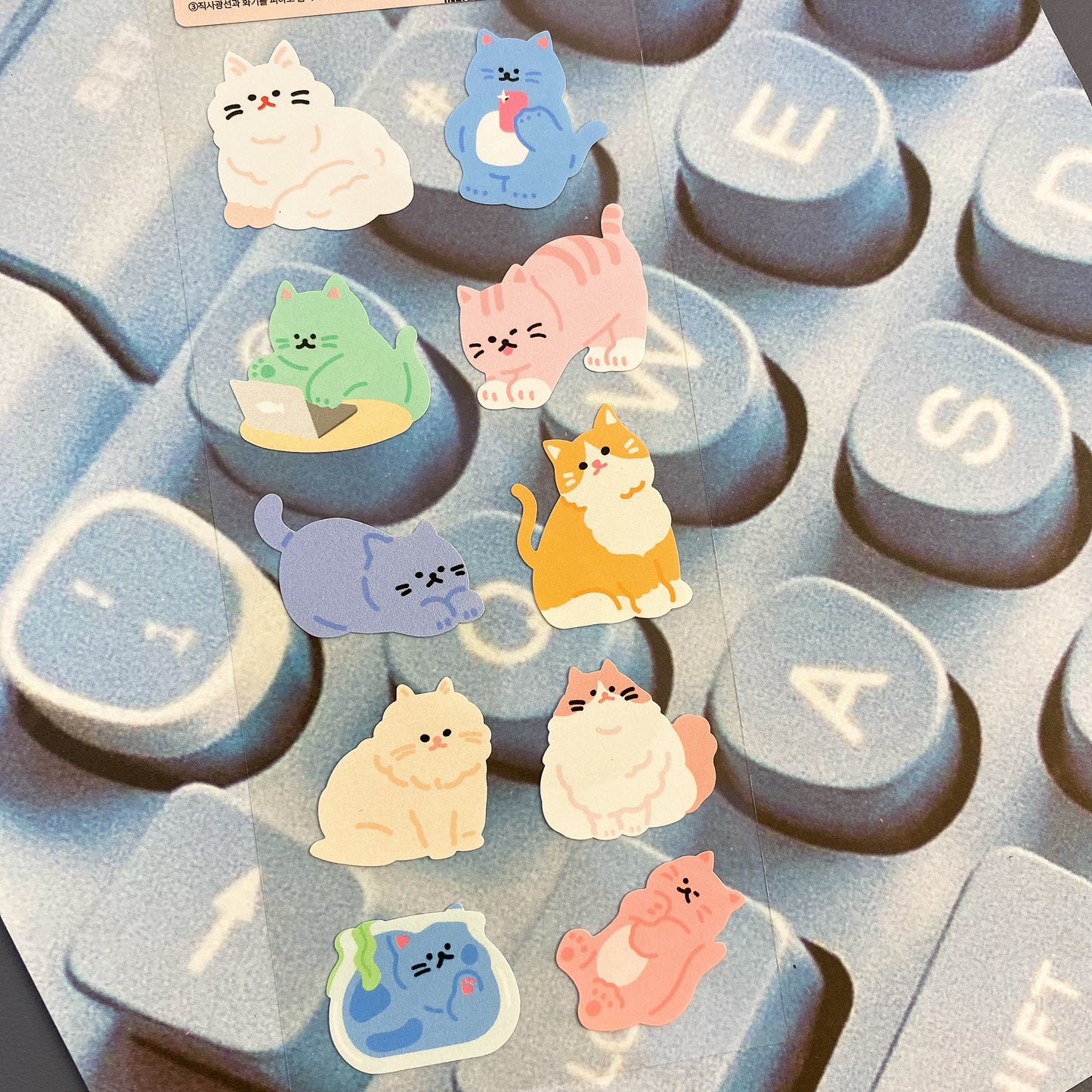 韓國 Pocket Stickers - 貓咪可愛日常