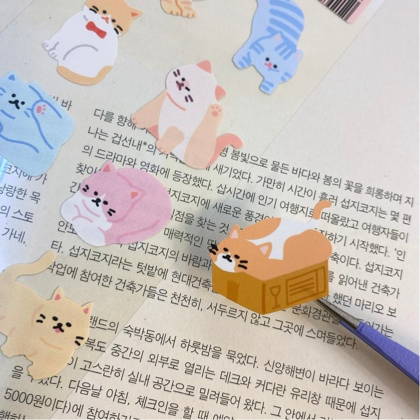 韓國 Pocket Stickers - 貓咪是液體