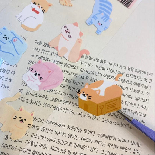 韓國 Pocket Stickers - 貓咪是液體