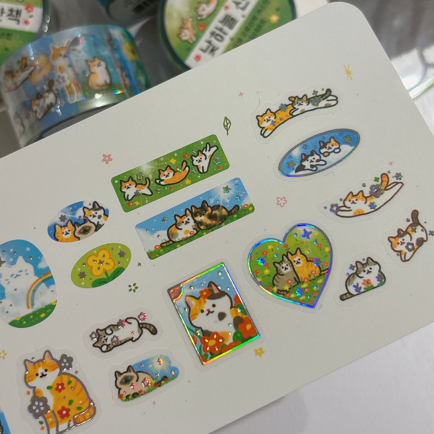 韓國 Doehye Drawing 貓咪四部曲卷裝貼紙: 第二部曲 - 踏踏森林原野